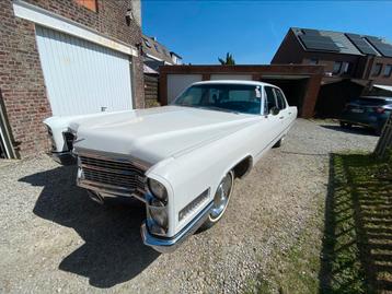 Belle Cadillac Calais bj 1966, Achat, 4 portes, Boîte manuelle, Berline