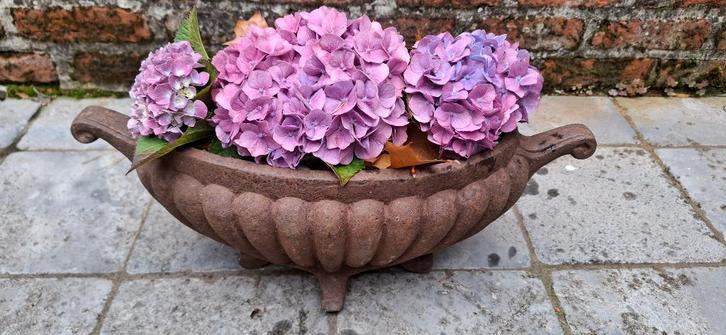 Antieke Franse jardinière - gietijzeren tuinvaas, Tuin en Terras, Tuinvazen, Gebruikt, Ophalen of Verzenden