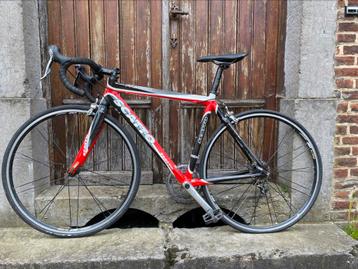 Vélo de route Scatto – Taille 52 (S), Enlèvement, Utilisé, Autres marques