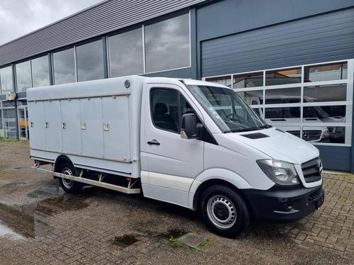 Mercedes-Benz Sprinter 313 CDI 10 Turen ICE -40C Carlsen Bal, Auto's, Bestelwagens en Lichte vracht, Bedrijf, Te koop, ABS, Centrale vergrendeling