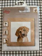 Kruissteekpakket 92, Hobby en Vrije tijd, Ophalen of Verzenden, Nieuw