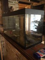 Gratis aquarium 200 liter afhalen oud centrum Oostende, Dieren en Toebehoren, Ophalen of Verzenden, Gebruikt, Leeg aquarium