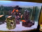 Aquarium zo goed als GRATIS., Dieren en Toebehoren, Ophalen, Gebruikt, Gevuld zoetwateraquarium