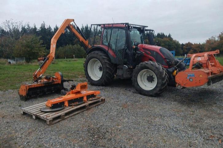 Entretien et rabattage de haies, Jardin & Terrasse, Plantes | Arbres