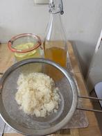 Grains de kefir de fruits, Ophalen
