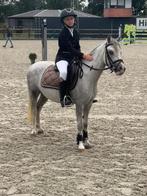 brave b pony !, Dieren en Toebehoren, B
