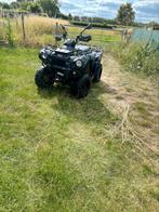 Kawasaki brute force 300 cc, Motoren