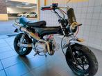Dax yinxang semi automatique 86cc classe B, 86 cc
