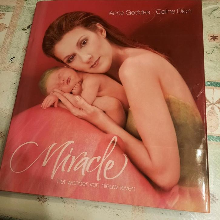 Ik wordt moeder.borstvoeding en andere, Boeken, Zwangerschap en Opvoeding, Ophalen