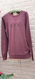 Trui maat m esprit, Vêtements | Femmes, Vêtements de Bain & Maillots de Bain, Esprit, Enlèvement ou Envoi, Comme neuf, Autres couleurs