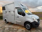 Camionette à chevaux Renault Master, Enlèvement, Comme neuf, Autres matériaux, Remorque 2 chevaux