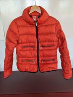 Winterjas,dames, Kleding | Dames, Jassen | Winter, Ophalen of Verzenden