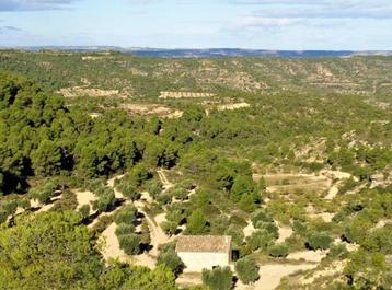 Finca in Maella (Aragón, Spanje) - 0650 beschikbaar voor biedingen