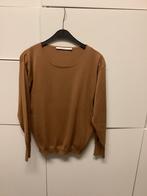 Trui Xandres, Kleding | Dames, Truien en Vesten, Ophalen of Verzenden, Zo goed als nieuw, Maat 38/40 (M)