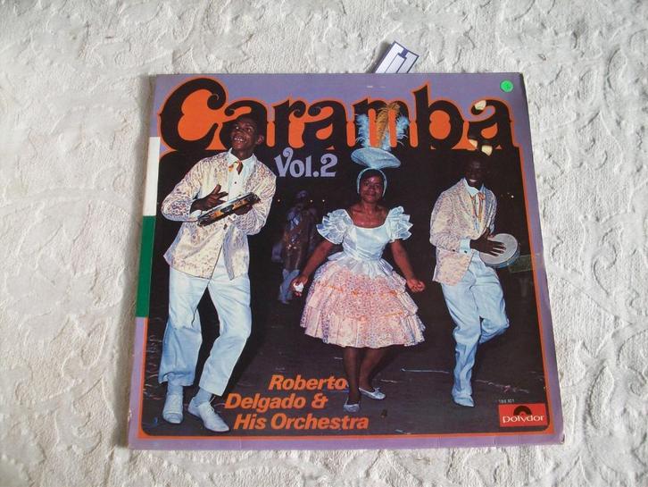 vinyl lp roberto delgado, CD & DVD, Vinyles | Rock, Comme neuf, Autres formats, Enlèvement ou Envoi