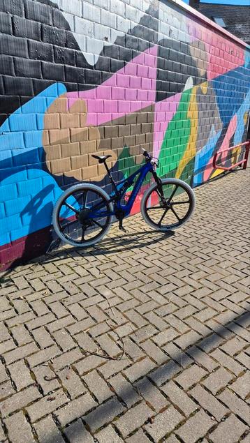Specialized e ltb meduim custom nieuw  beschikbaar voor biedingen