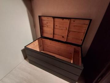 zwarte kist, Huis en Inrichting, Woonaccessoires | Kisten, Ophalen, Minder dan 50 cm, Gebruikt, 50 tot 100 cm