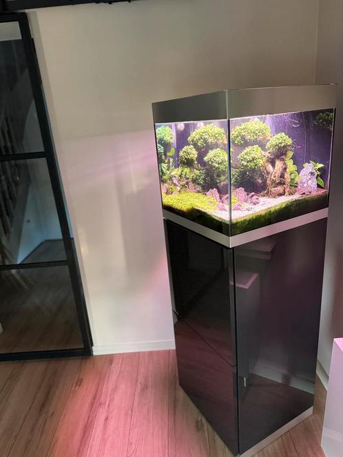 Oase Highline 125 + toebehoren (levering mogelijk), Dieren en Toebehoren, Vissen | Aquaria en Toebehoren, Gebruikt, Ophalen