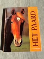 Het Paard - P kindermans, Boeken, Dieren en Huisdieren, Nieuw, P. Kindermans, Ophalen of Verzenden, Paarden of Pony's