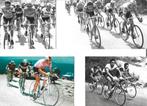 Cyclisme - 40 Photos-Repros - Eddy Merckx - Tour de France, Verzenden, Gebruikt