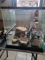 Terrarium voor reptiel, Dieren en Toebehoren, Ophalen, Gebruikt, Terrarium of Paludarium