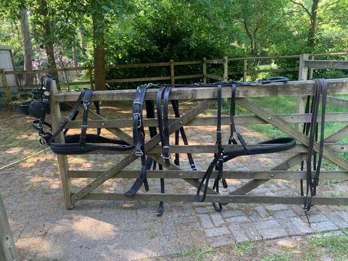 Ideal leathertech enkelspantuig, Dieren en Toebehoren, Paarden en Pony's | Hoofdstellen en Tuigage, Gebruikt, Overige soorten