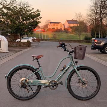 Electra Townie ebike beschikbaar voor biedingen
