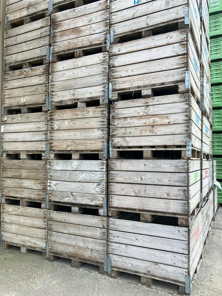 paloxen te koop, Zakelijke goederen, Landbouw | Aardappelen, Groenten, Fruit en Vlees, Ophalen