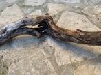 Rivierdrijfhout, schuin, gedeeltelijk hol 86cm N317, Verzenden
