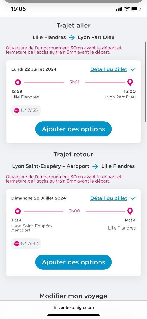 Billets TGV aller-retour : Lille-Lyon pour 2 personnes, Tickets & Billets, Transports en commun, Deux personnes, Avec destination ou date