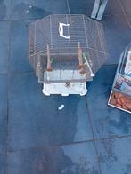 Vogel kooi klin ³ 50 x20 cm, Dieren en Toebehoren, Ophalen of Verzenden, Kooi