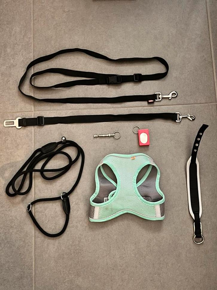 Honden spullen, Dieren en Toebehoren, Hondenriemen, Zo goed als nieuw, Ophalen of Verzenden