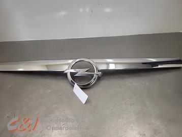 Grille van een Opel Movano (NVT) beschikbaar voor biedingen