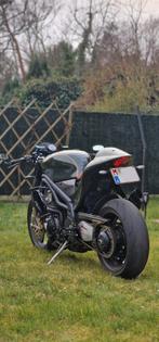 Triumph Daytona 955i Caferacer, Motoren, Motoren | Triumph, Particulier