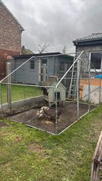 3 kippen met ren en te restaureren kippenhok, Dieren en Toebehoren, Ophalen, Zo goed als nieuw