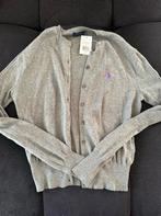 Ralph Lauren Vest M, Kleding | Dames, Maat 38/40 (M), Nieuw, Ophalen of Verzenden, Grijs