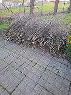 Snoeihout wilgen gratis, Ophalen