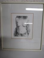 WITTEVRONGEL LITHO GENUMMERD EN HANDTEKENING VAN DE ARTIST, Antiek en Kunst, Kunst | Litho's en Zeefdrukken, Ophalen