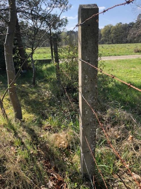 betonnen weipalen 2m - gratis op te halen, Tuin en Terras, Palen, Balken en Planken, Gebruikt, Palen, 180 tot 250 cm, Ophalen