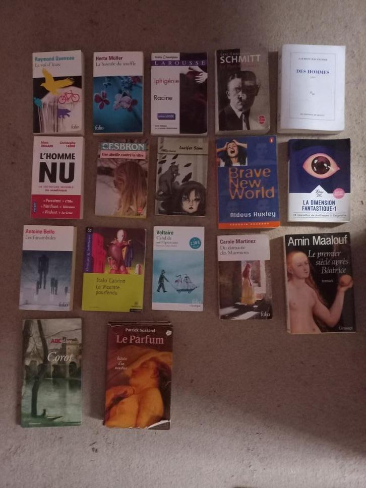 Livres divers petit et grand format, Livres, Romans, Utilisé, Enlèvement