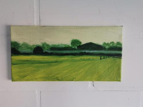 Bedreigd landschap - Acryl op doek 20x40cm, Antiek en Kunst, Kunst | Schilderijen | Modern, Ophalen of Verzenden