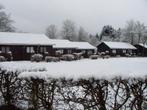 SNEEUW in de Ardennen! Leuk vernieuwde chalet voor 4p, Vakantie, Vakantiehuizen | België, In bos, 2 slaapkamers, Recreatiepark