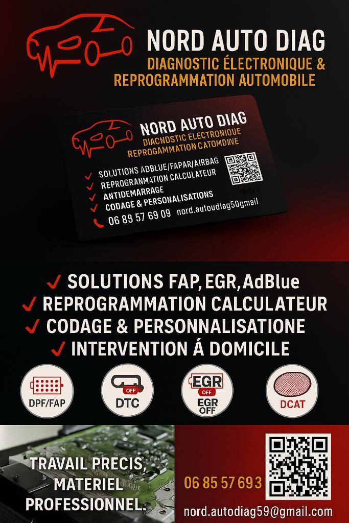 diagnostic reprogramamtion automobile, Auto diversen, Autogereedschap, Ophalen