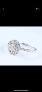 18kt wit gouden ring met 30 echte diamanten met certificaat, Wit, Nieuw, Ophalen of Verzenden, 17 tot 18