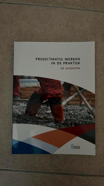 Ed Schouten - Projectmatig werken in de praktijk beschikbaar voor biedingen