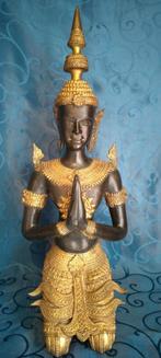 Thaise tempelwachter., Ophalen