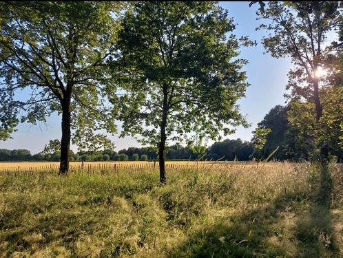 Prachtig stukje natuur, privébos te Stekene, Immo, Gronden en Bouwgronden