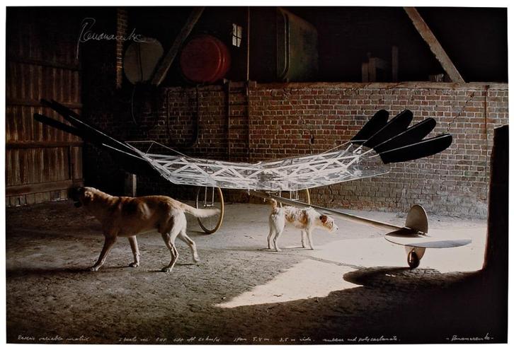 Panamarenko Raven's Variable Matrix Affiche & Art card, Antiek en Kunst, Kunst | Litho's en Zeefdrukken, Verzenden