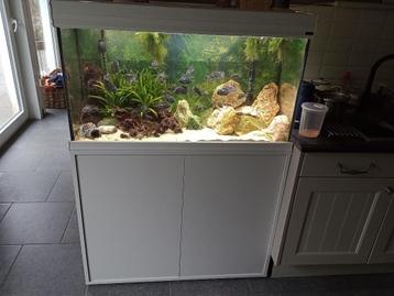 mooi aquarium met alle toebehoren 100x40x55h