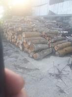 Bois, Tuin en Terras, Brandhout, 6 m³ of meer, Ophalen, Overige houtsoorten, Stammen